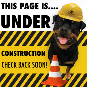 Under_Construction-300×300