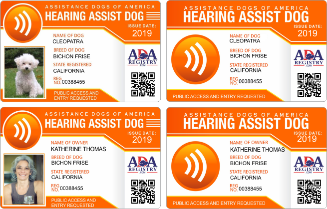 ADA HEARING ADA HEARING
