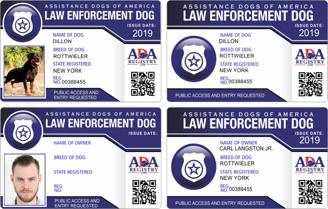 ADA LAW ENFORCE ADA LAW ENFORCE