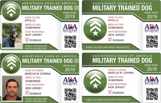 ADA MILITARY ADA MILITARY