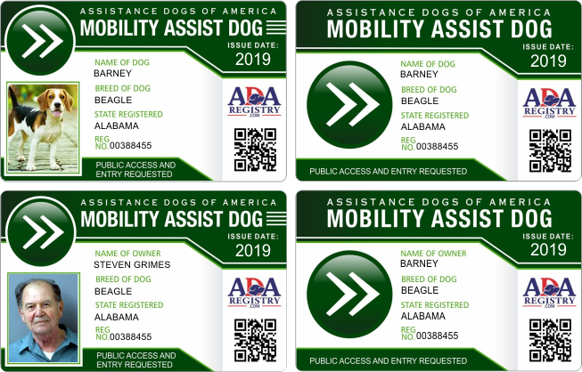 ADA MOBILITY ADA MOBILITY