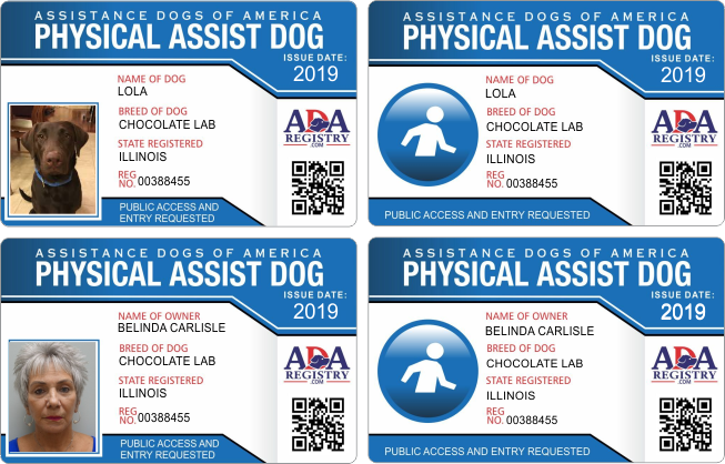 ADA PHYS ASSIST ADA PHYS ASSIST