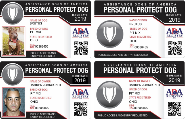 ADA PROTECT ADA PROTECT