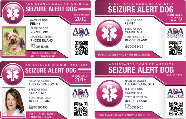 ADA SEIZURE ADA SEIZURE