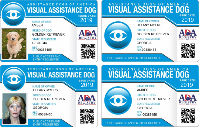 ADA VISUAL ADA VISUAL