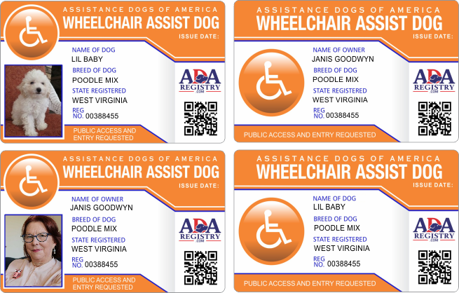 ADA WHEELCHAIR ADA WHEELCHAIR