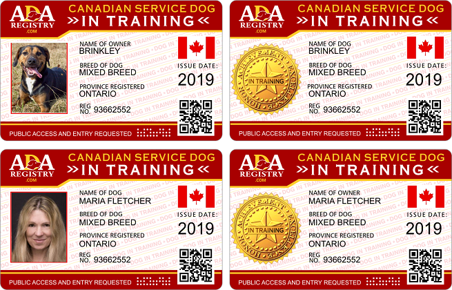 CAN TRAINING CAN TRAINING