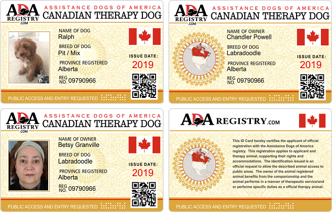 Canadian Gallery Canadian Gallery