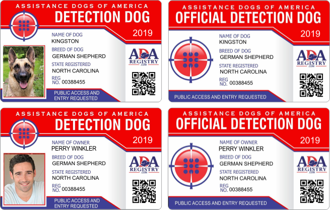 DETECTION GALLERY DETECTION GALLERY