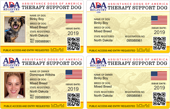 therapy gallery therapy gallery