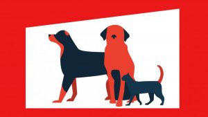 042020_Animal 900x506 1