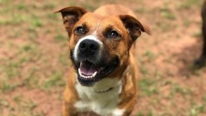 04cde91e 03e3 432a afaf 82aea35eb6b6 large16x9_59588921_2520213384678464_8319851681034534912_n