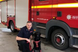 1_Jet the fire dog 1