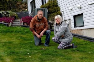 21162710_web1_200423 KWS Dog Merunka_1