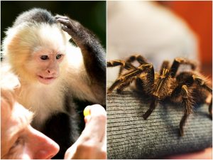 5e95dbdcdcd88c6de30878c2