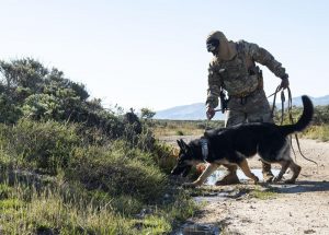 5e9dd82e063ce.image_