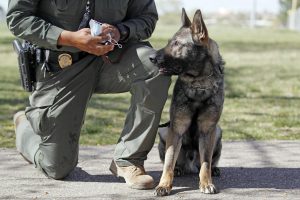 5e9f8c0c9c276.image_