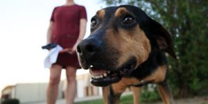 627fc727219797890763b130169d5c27