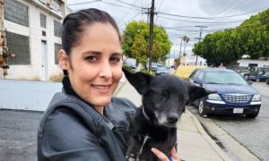 April Schnitzel day of adoption 700×420