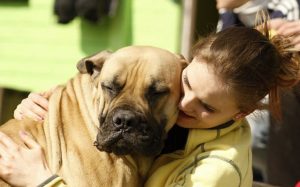 DOGS TRUST crop 1 978×611