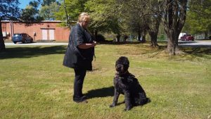 E208AA61 A77E 4B2F BE17 01B5EB0198AF