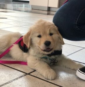 EFUGRNTH4NHSXNAPY7PG24WATQ