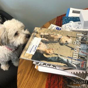 IMG_9651 002 e1585599230168