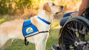 NQCM7TXVMBD6PCAEZQ6OSSYHNY