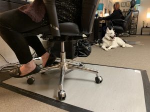 OCR L VIRUS CALLS 0412.06 1