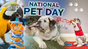 PetDayBanner_tcm25 614613