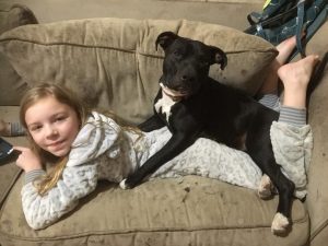 STOLEN DOG BOOTS CHAPMAN 20200402