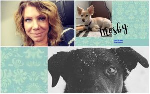 Sister Wives Mosby and Meri Brown