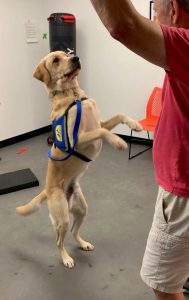 X4SDHXVMJFGIPODDTOEWTM7HZI 1