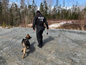 cst dan berube and jynx 2