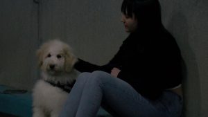 d8d70b53 fcc9 4ad2 a912 c59014cf7f0f