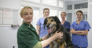 gettyimages 159615233 1024×683