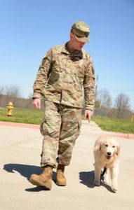 jrcf dogs transition COPPER HEEL rgb 268x420 1