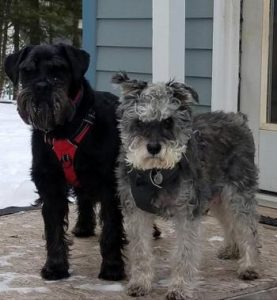 the boys after a challenging day at work