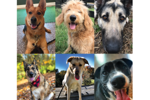 0521 ColemanNatural 1