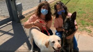 09e0bcb8 8940 4dc5 80fa b58aaad7f58b large16x9_DogslearningatOKprisons