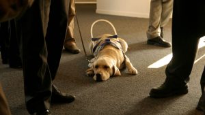 1407549576004 1406830799000 105934533