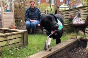 248320001.jpg.gallery