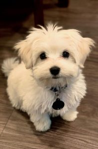 332024F6 9B92 4848 988D 5C94AFFF24C9 591x900 1