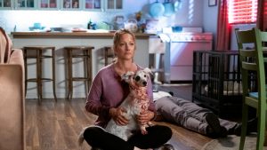 44c289f7 6180 4e00 a198 6378bf759f96 itd_goodboy pw 2066r 1