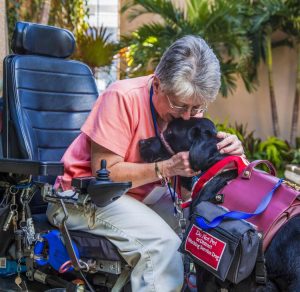 5eaae7fc4cbed.image_ 1