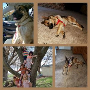 5eaba0284cc28.image_