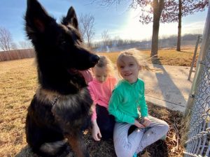 5eb1723a5d638.image_