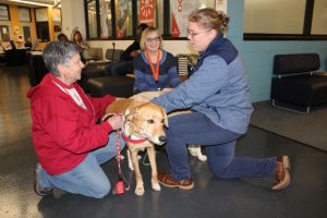 5eb43b141ae48.image_