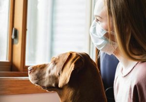 5eb5a5788464b.image_