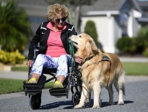 5eb771a42b577.image 1